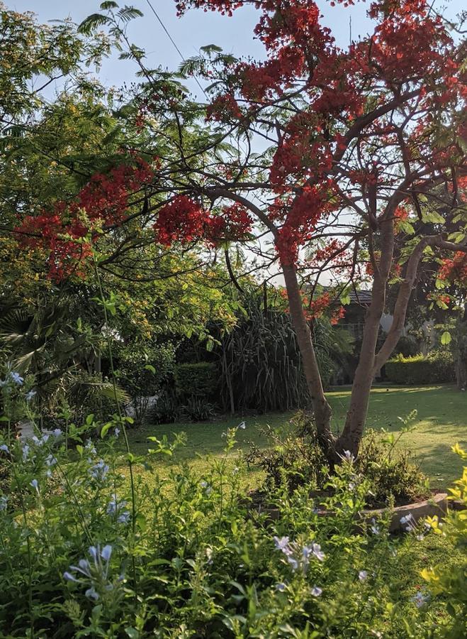 The Residence Villa Chobe Kasane Exterior foto